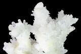 Sparkling Cave Calcite (Aragonite) Formation - Potosi Mine, Mexico #154063-3